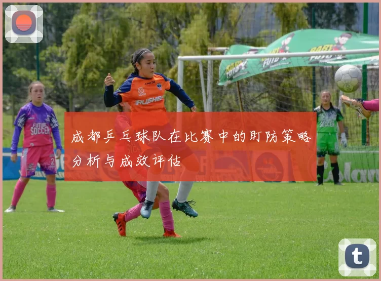 成都乒乓球队在比赛中的盯防策略分析与成效评估