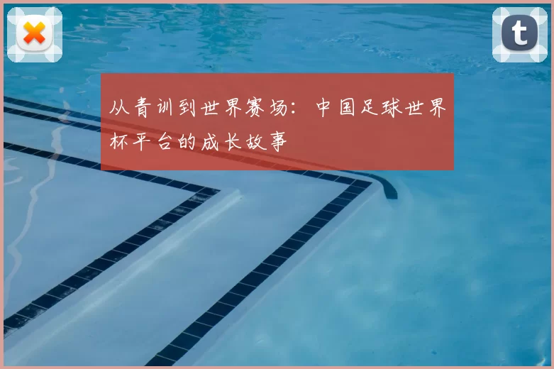 从青训到世界赛场:中国足球世界杯平台的成长故事