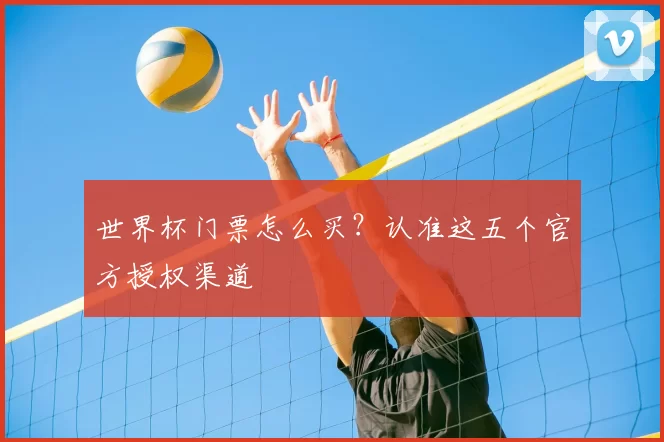 世界杯门票怎么买?认准这五个官方授权渠道