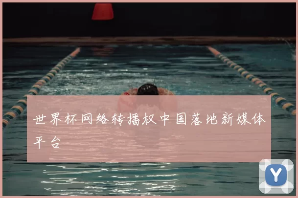 世界杯网络转播权中国落地新媒体平台