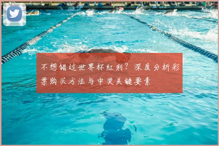 不想错过世界杯红利？深度分析彩票购买方法与中奖关键要素