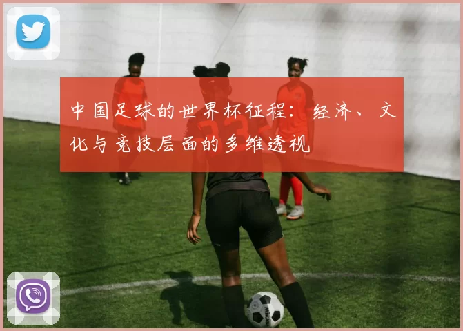 中国足球的世界杯征程：经济、文化与竞技层面的多维透视