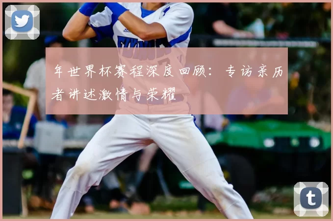 年世界杯赛程深度回顾：专访亲历者讲述激情与荣耀