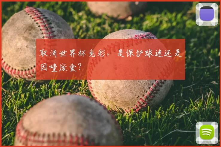 取消世界杯竞彩，是保护球迷还是因噎废食？