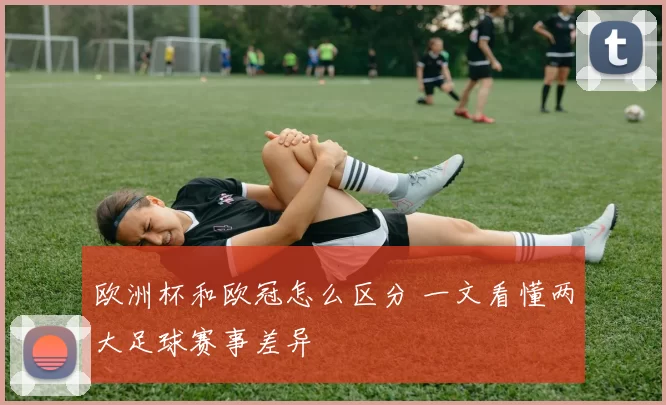 欧洲杯和欧冠怎么区分 一文看懂两大足球赛事差异