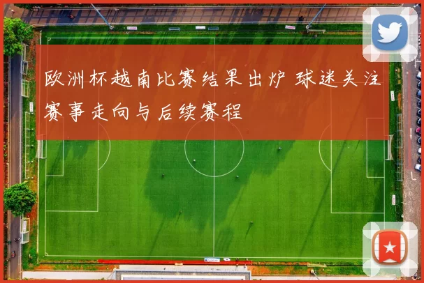 欧洲杯越南比赛结果出炉 球迷关注赛事走向与后续赛程