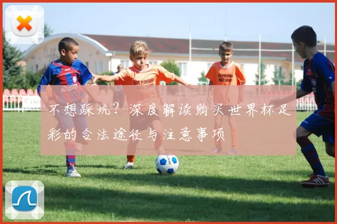 不想踩坑?深度解读购买世界杯足彩的合法途径与注意事项