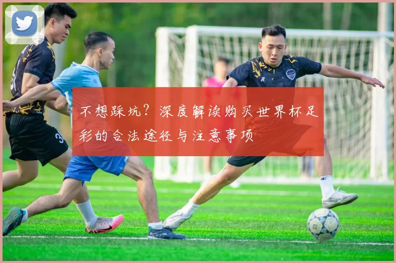 不想踩坑?深度解读购买世界杯足彩的合法途径与注意事项