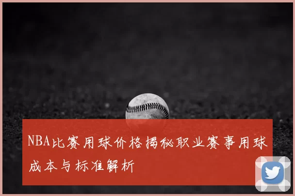 NBA比赛用球价格揭秘职业赛事用球成本与标准解析