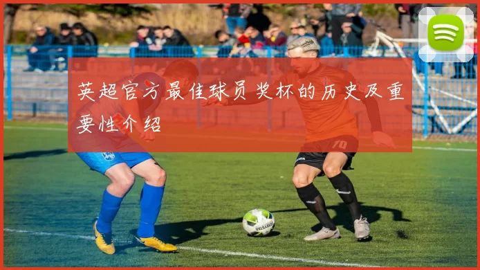 英超官方最佳球员奖杯的历史及重要性介绍