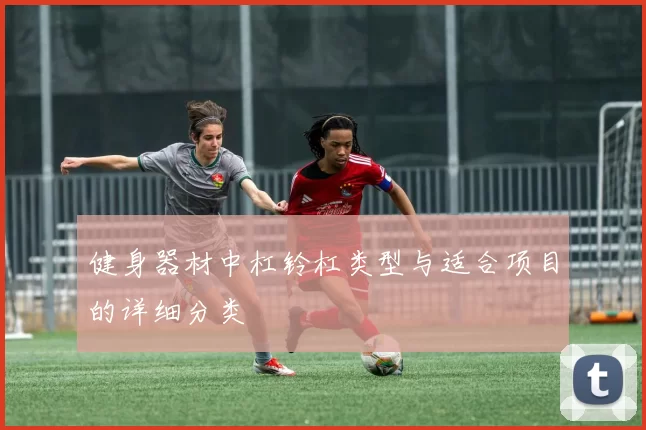 健身器材中杠铃杠类型与适合项目的详细分类