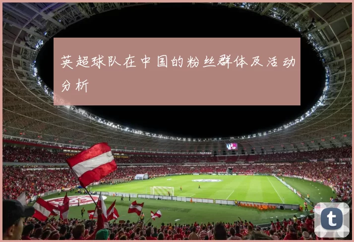 英超球队在中国的粉丝群体及活动分析