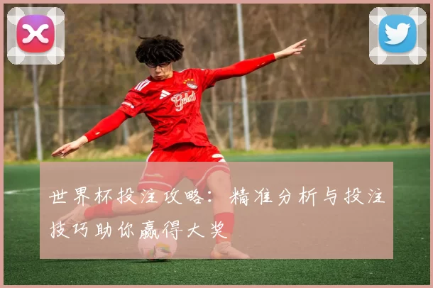 世界杯投注攻略：精准分析与投注技巧助你赢得大奖