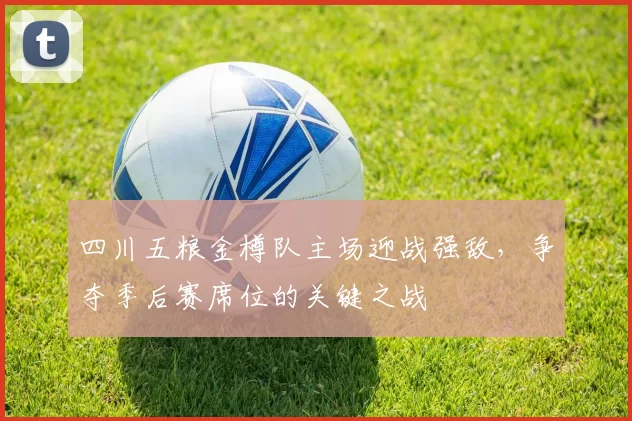 四川五粮金樽队主场迎战强敌,争夺季后赛席位的关键之战