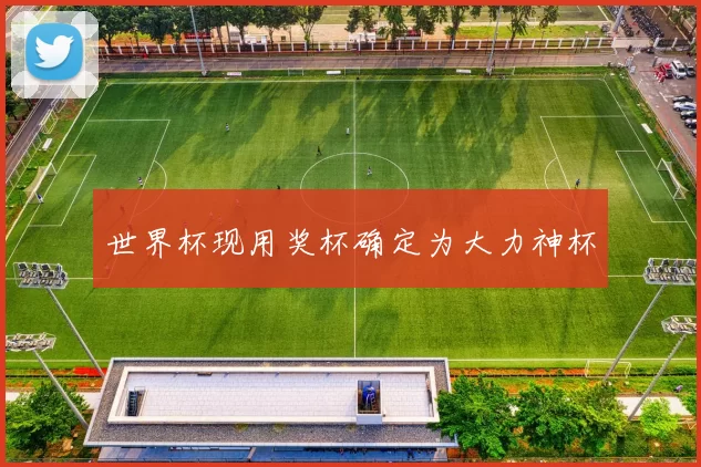世界杯现用奖杯确定为大力神杯