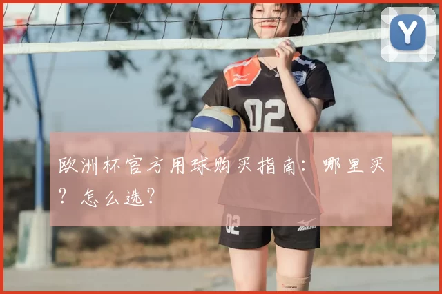 欧洲杯官方用球购买指南:哪里买?怎么选?