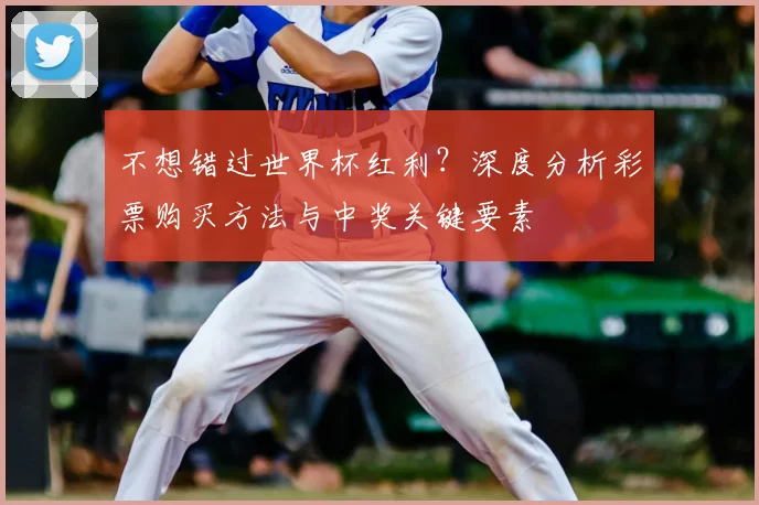 不想错过世界杯红利？深度分析彩票购买方法与中奖关键要素