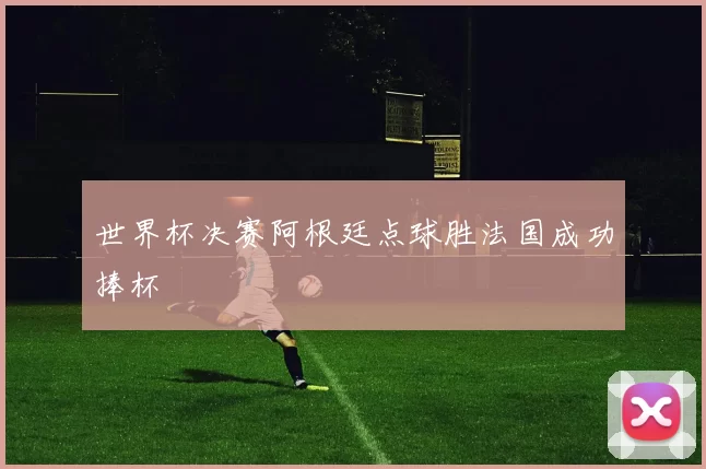 世界杯决赛阿根廷点球胜法国成功捧杯