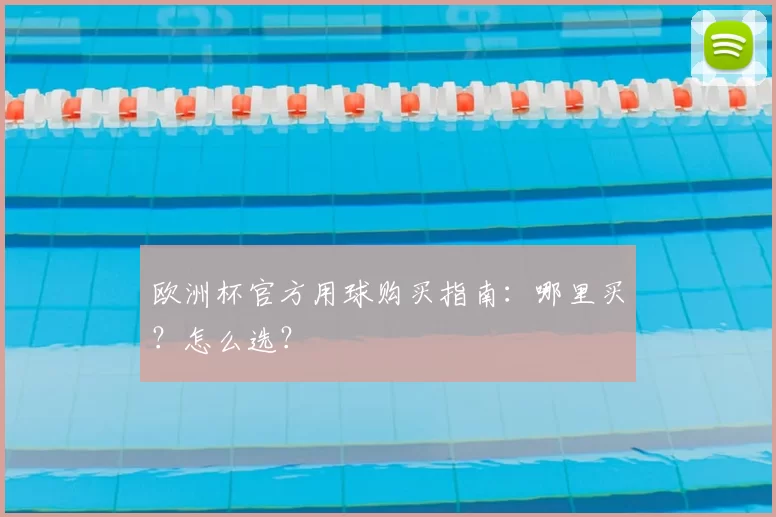 欧洲杯官方用球购买指南:哪里买?怎么选?