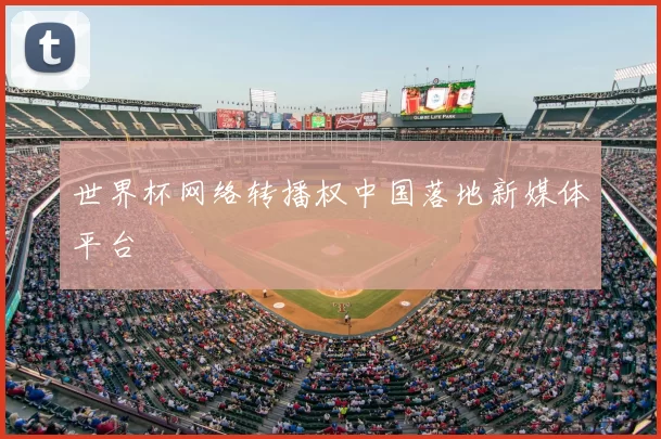 世界杯网络转播权中国落地新媒体平台