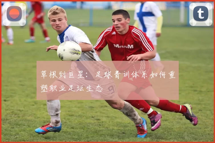 草根到巨星：足球青训体系如何重塑职业足坛生态