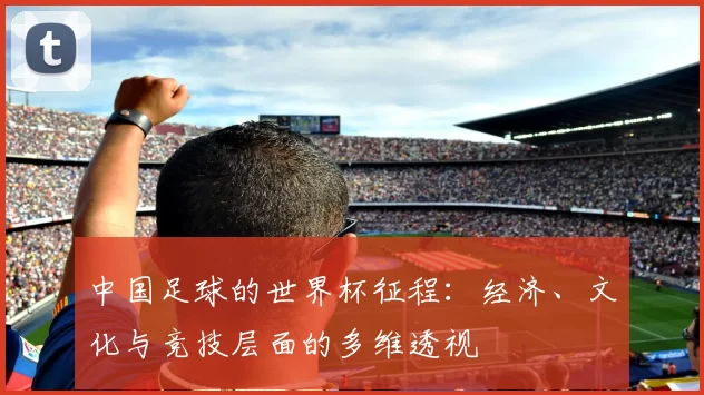 中国足球的世界杯征程：经济、文化与竞技层面的多维透视