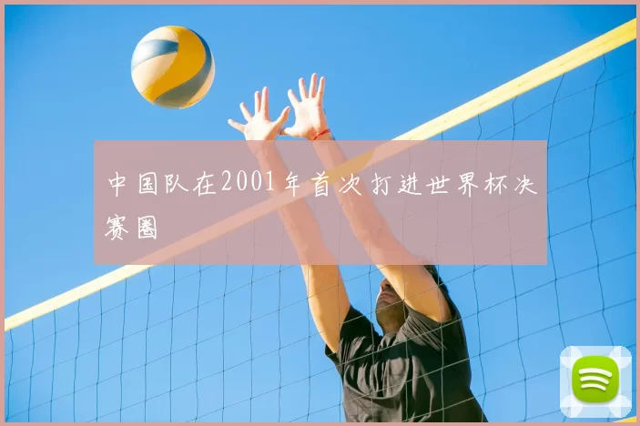 中国队在2001年首次打进世界杯决赛圈