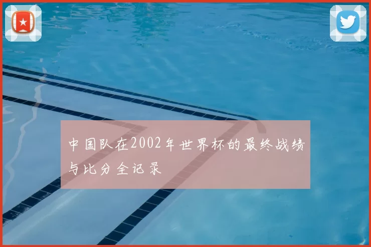 中国队在2002年世界杯的最终战绩与比分全记录