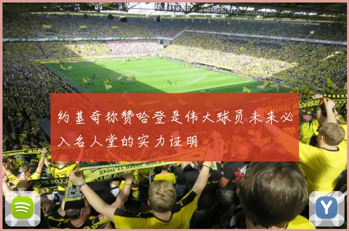 约基奇称赞哈登是伟大球员未来必入名人堂的实力证明
