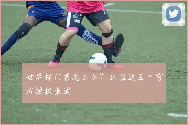 世界杯门票怎么买?认准这五个官方授权渠道